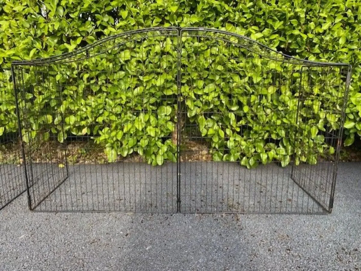 Fire / Nursery Guard