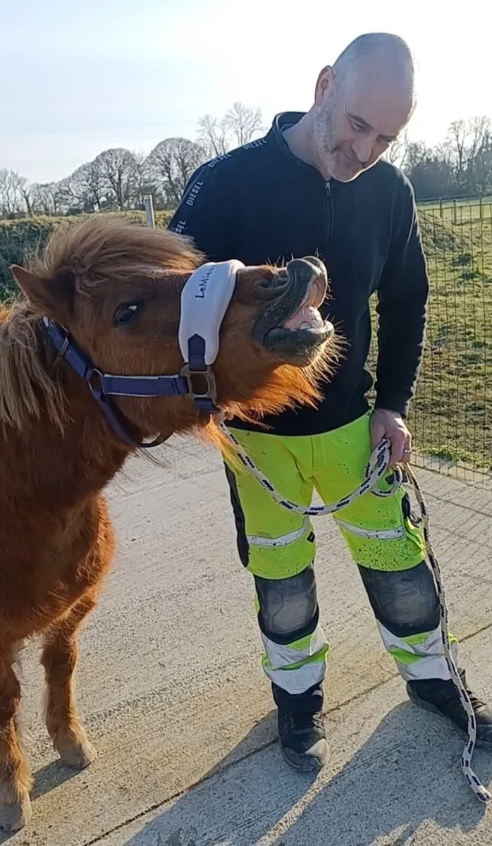 Pony - Image 2