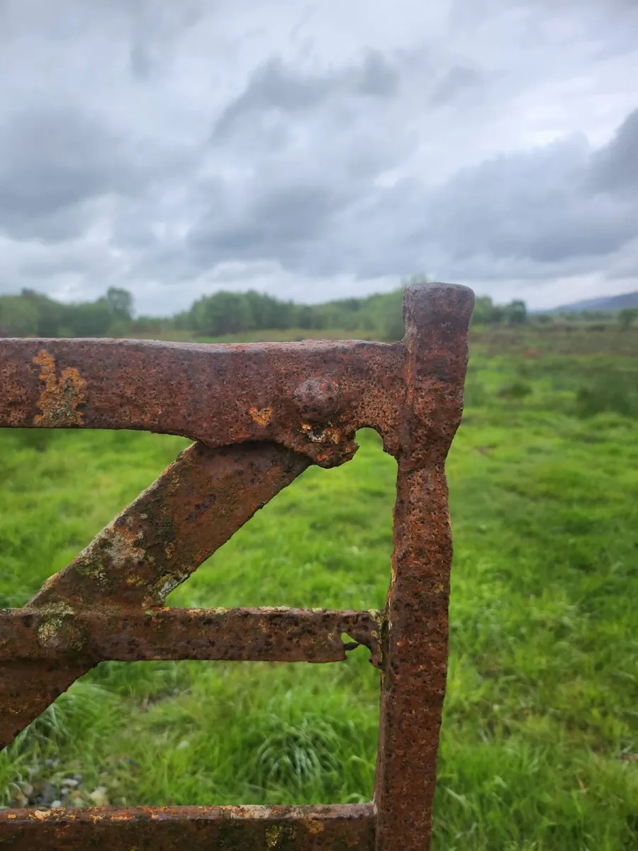 Wrought Iron Gate - Image 2