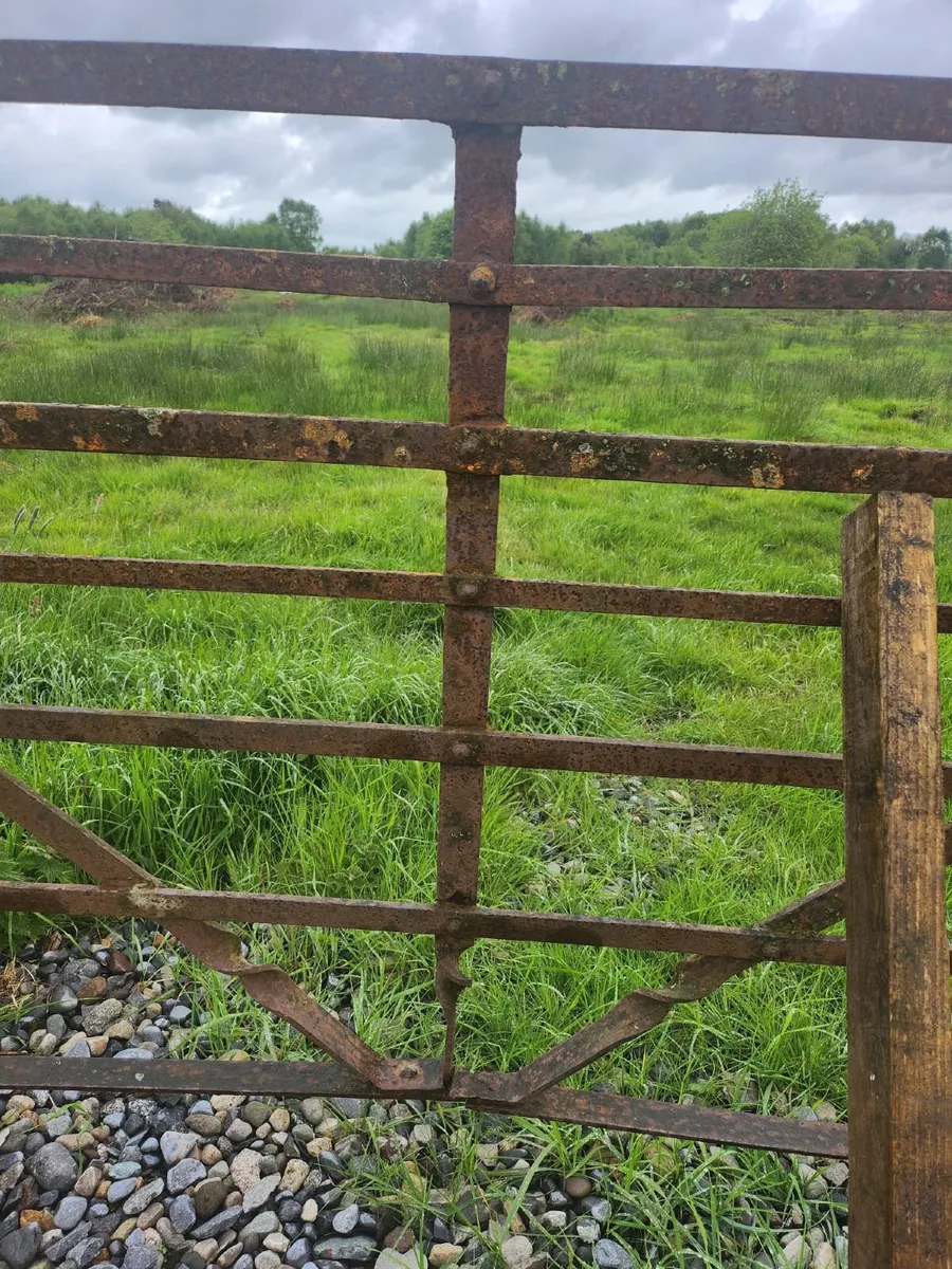 Wrought Iron Gate - Image 3