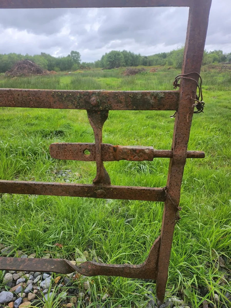 Wrought Iron Gate - Image 4