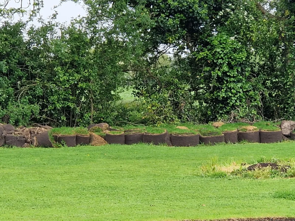 lawn turf rolls - Image 4