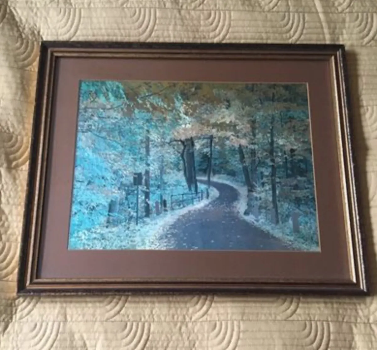 Picture of entrance to forest - Image 1