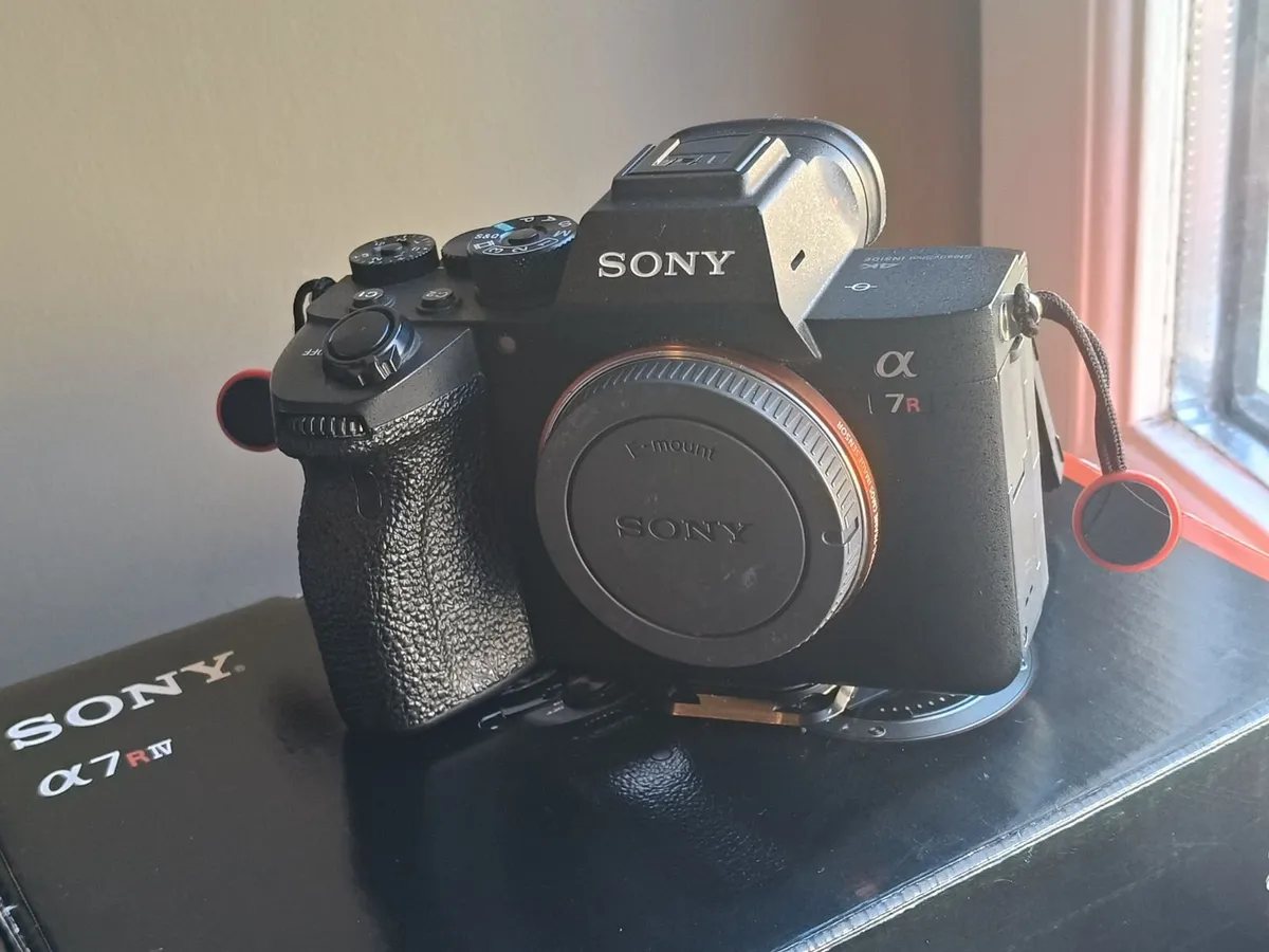 Sony A7rIV / Sony Fe24-105 F4 - Image 2