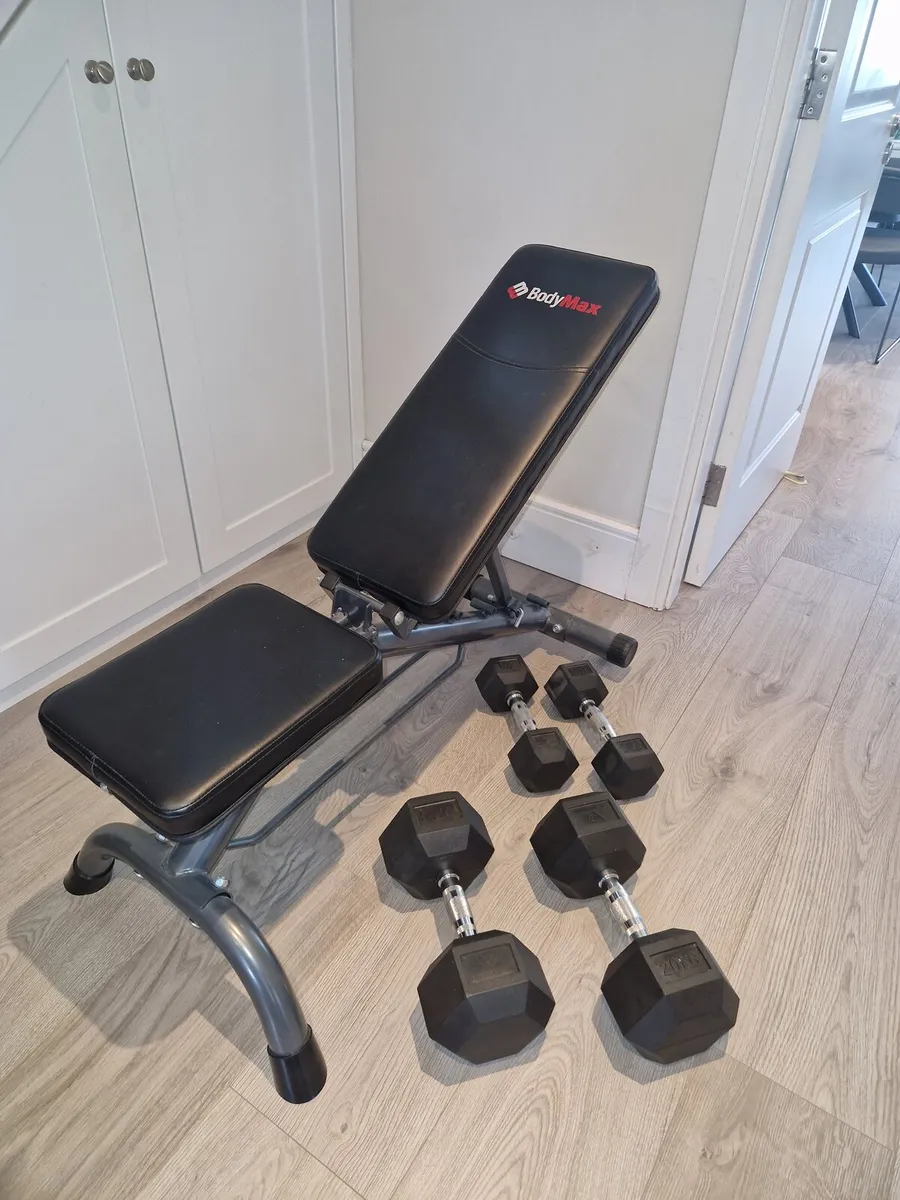 Bodymax Utility Bench and Dumbbells