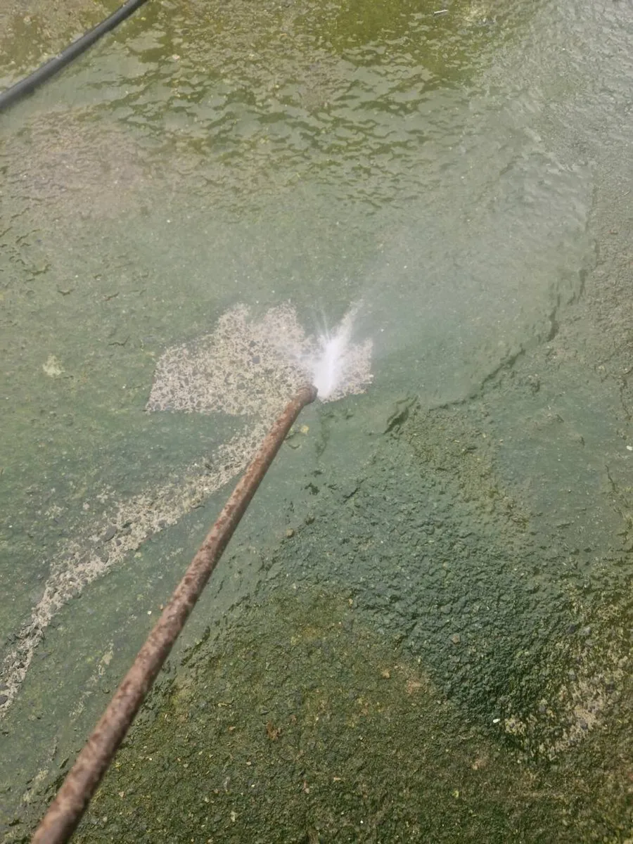 Pressure washer - Image 3