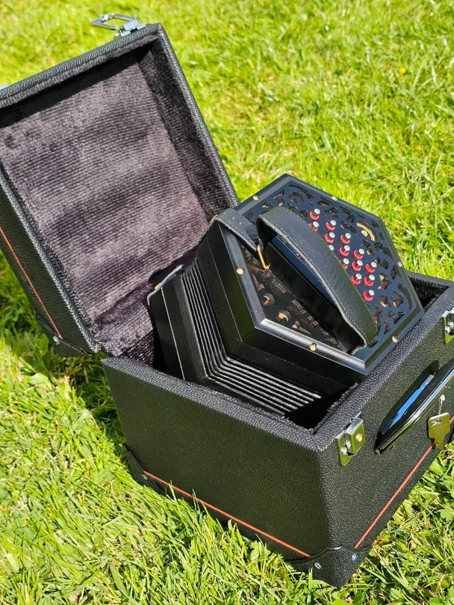 Concertina - Image 4