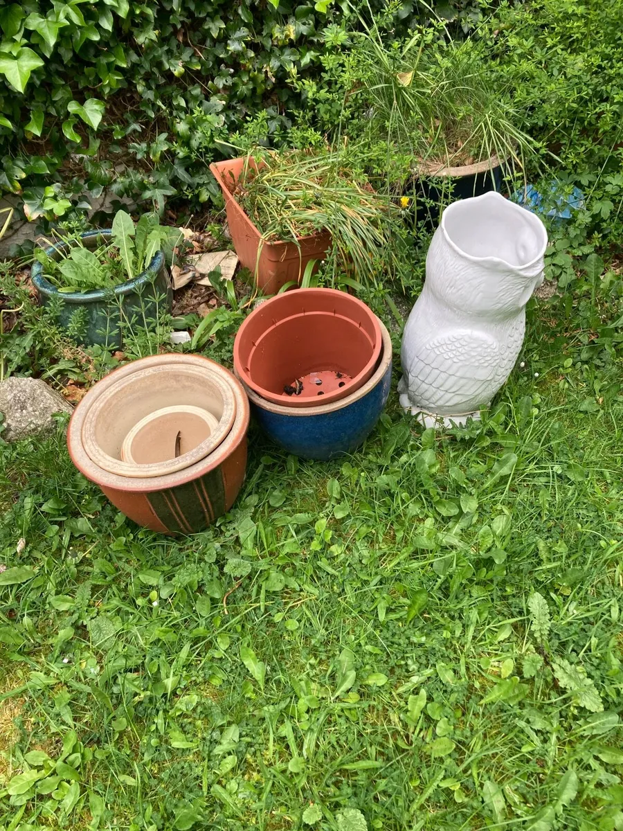 Plant Pots - Image 1