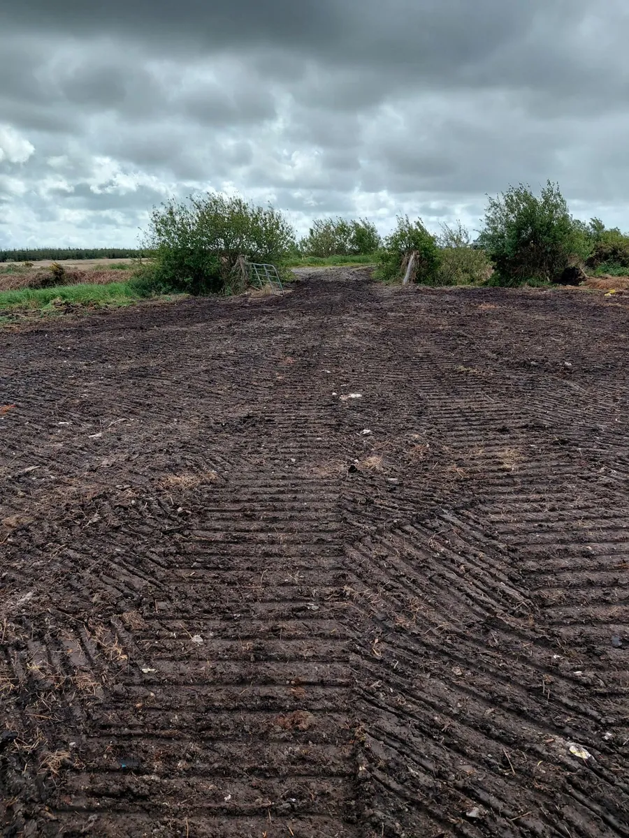 Field - Image 3