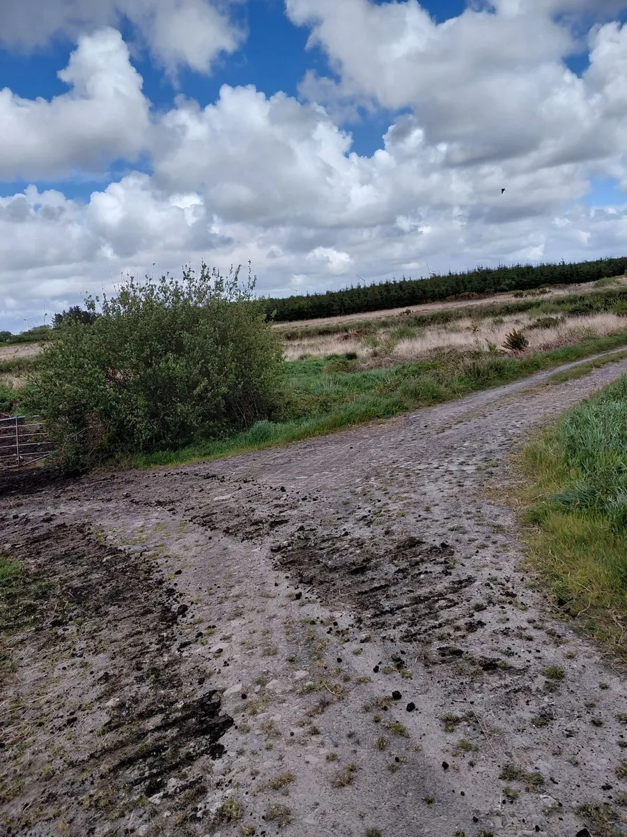Field - Image 4