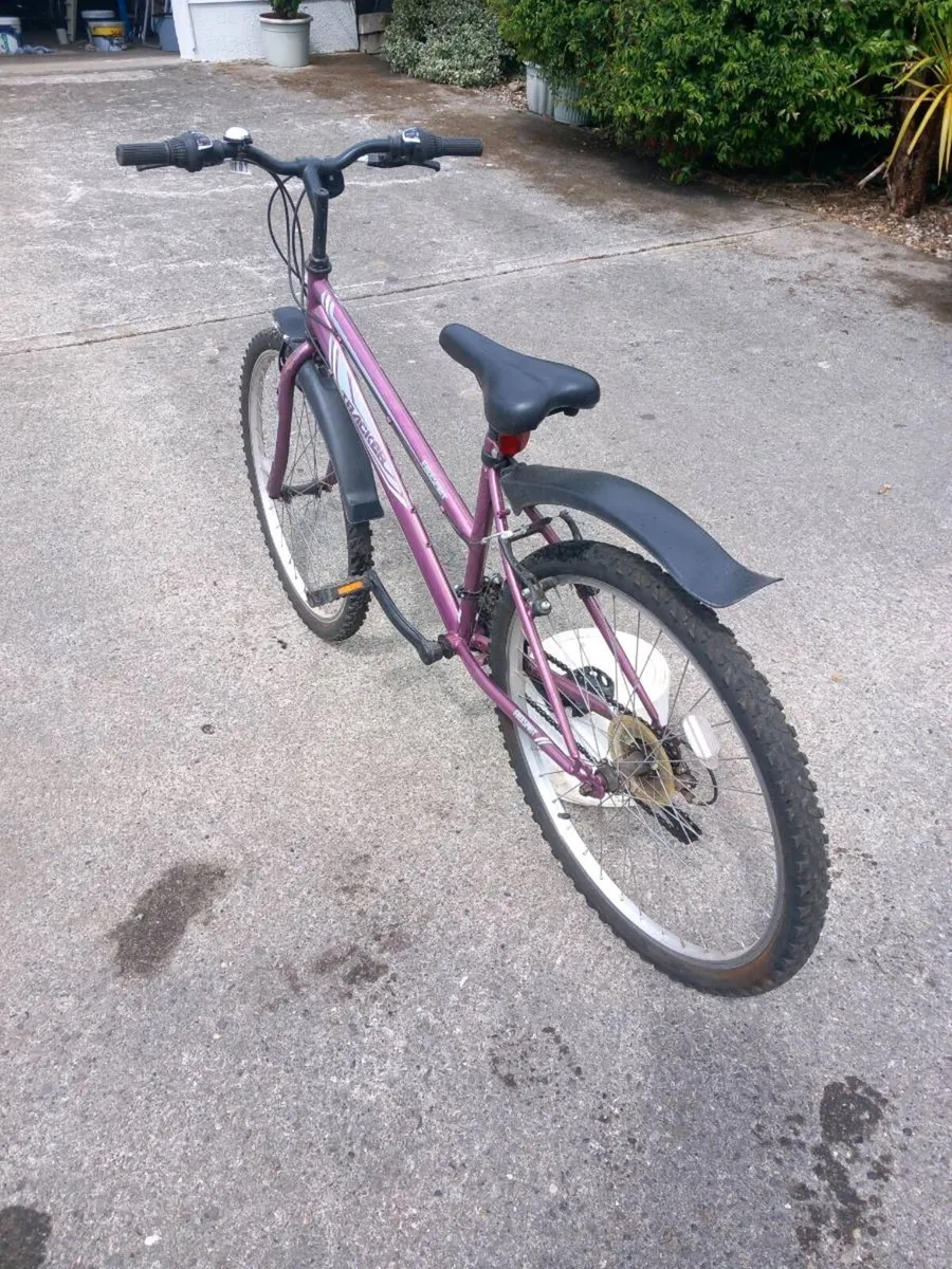 Bike - Image 2