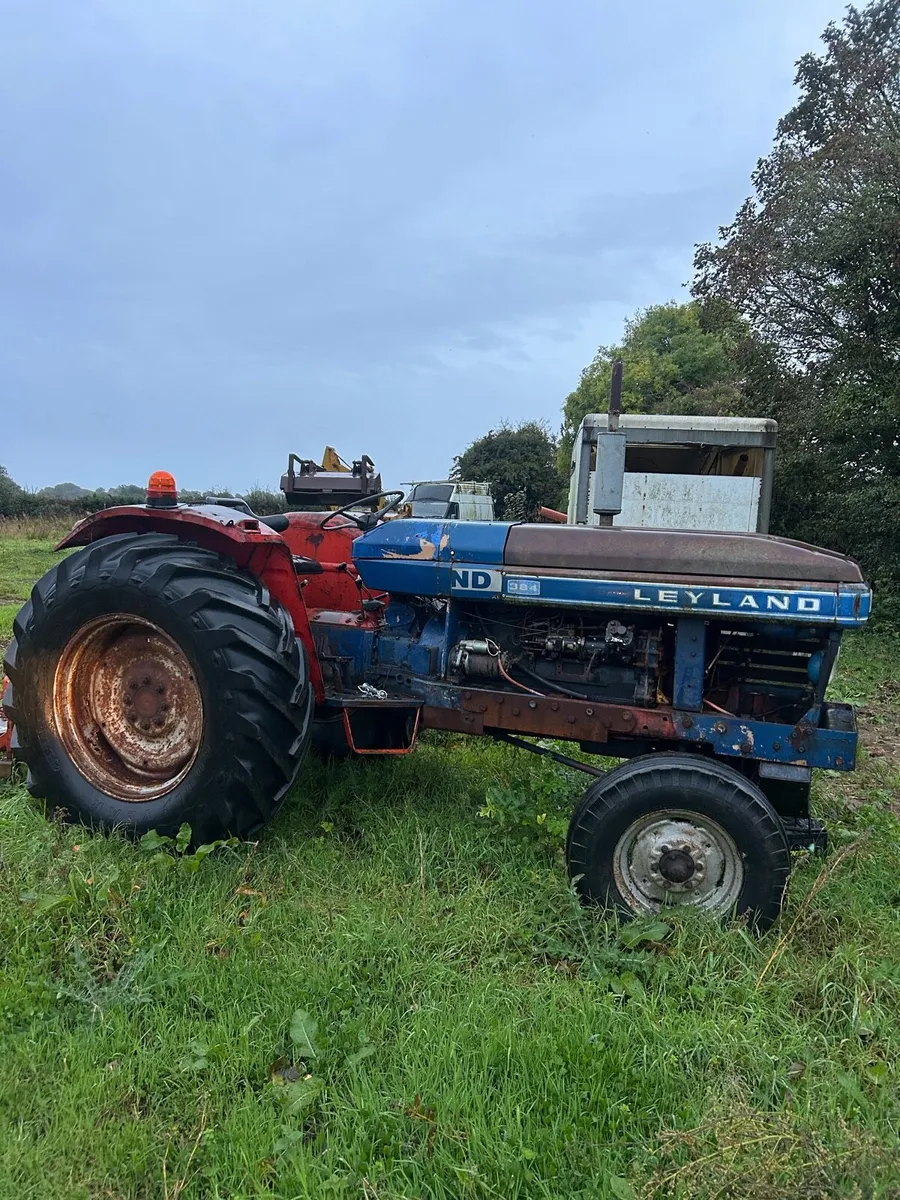 Leyland 384 - Image 1