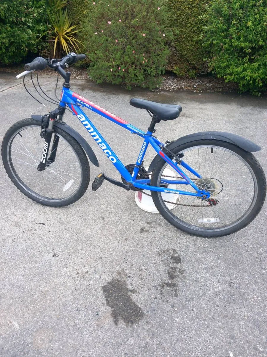 Bike - Image 1