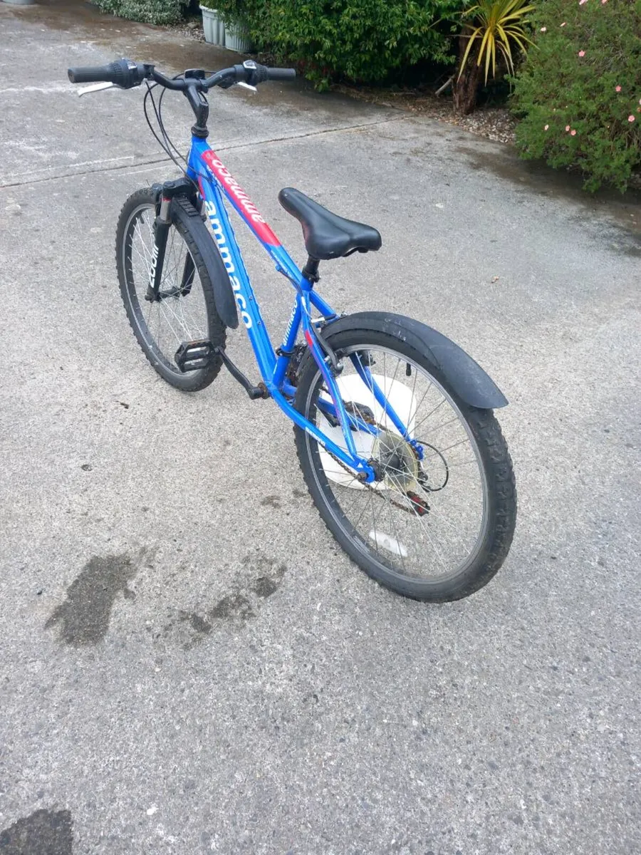 Bike - Image 2
