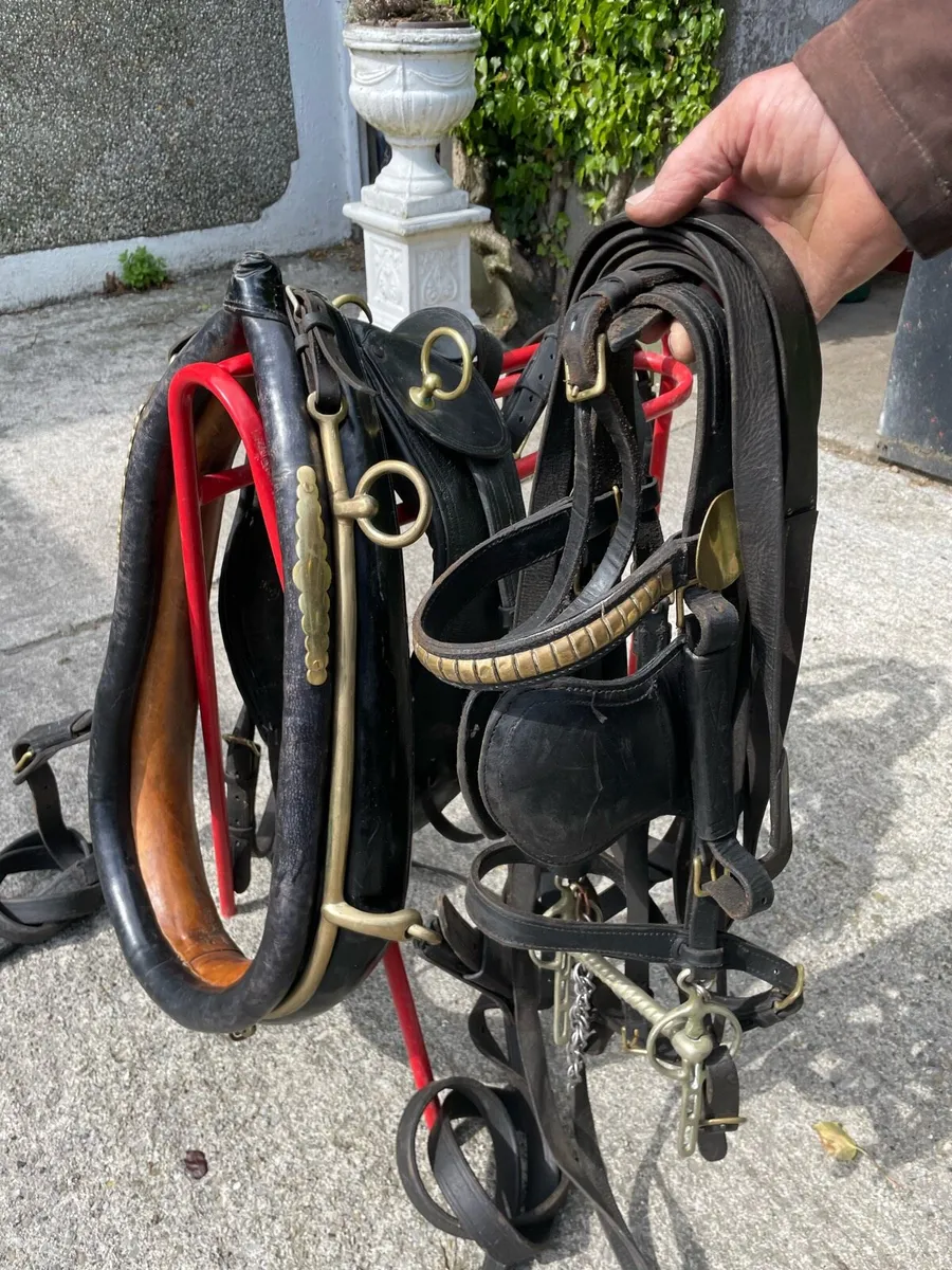 Set of old harness - Image 1