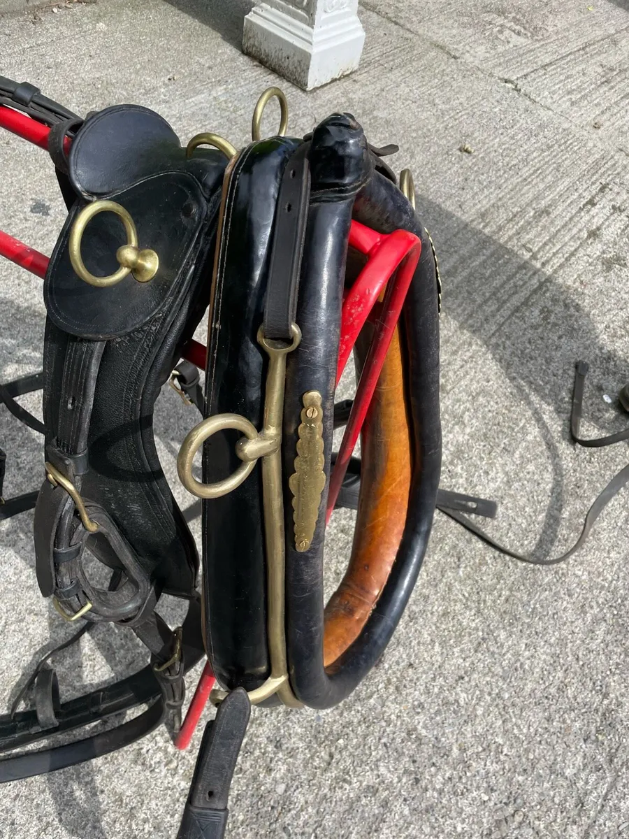 Set of old harness - Image 2