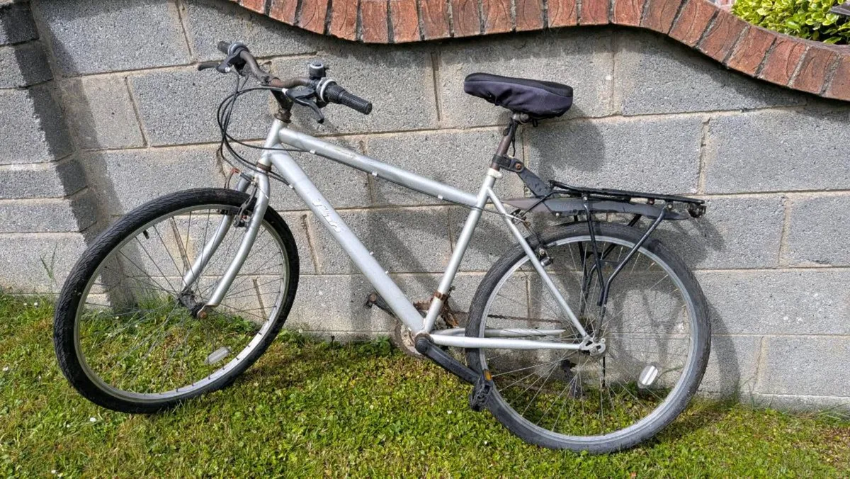 Adult Bike - Image 1