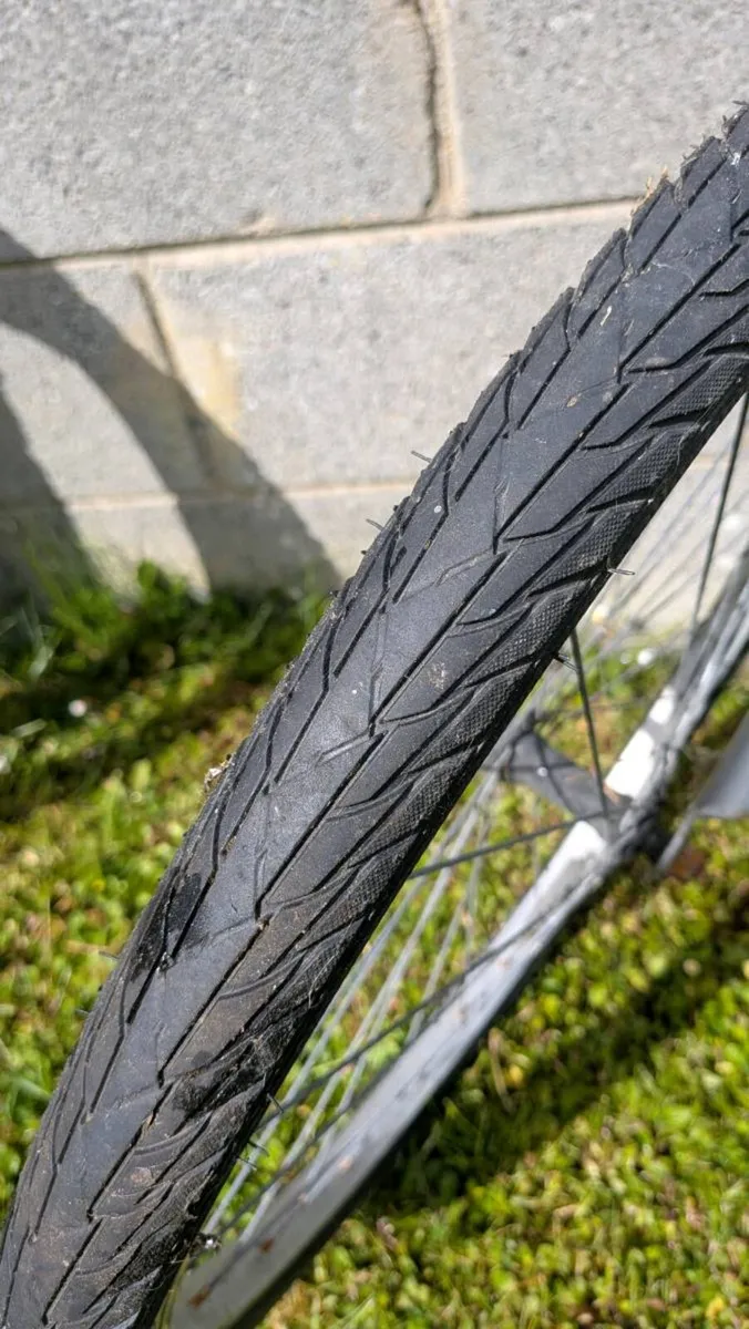 Adult Bike - Image 4