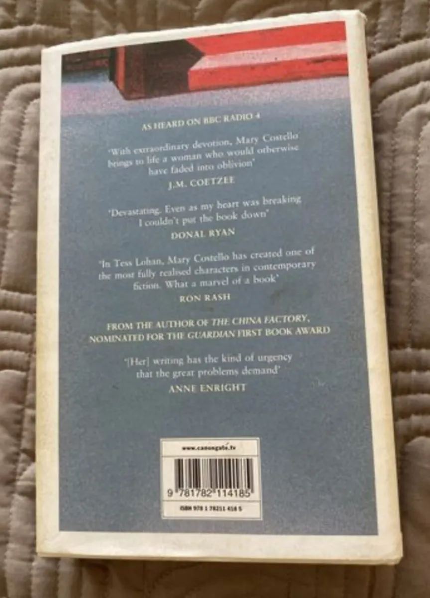 Book: Mary Costello, Academy Street - Image 2