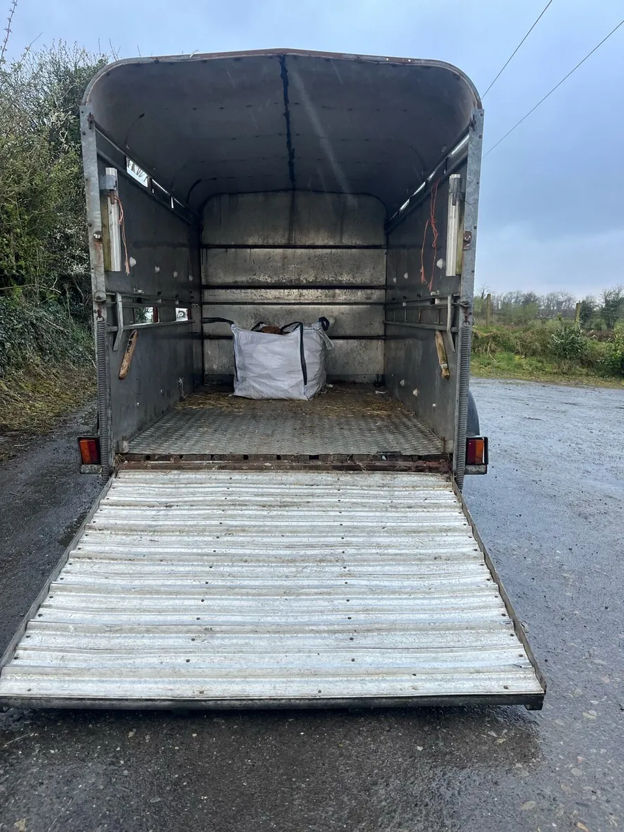 Ifor Williams Cattle trailer - Image 4