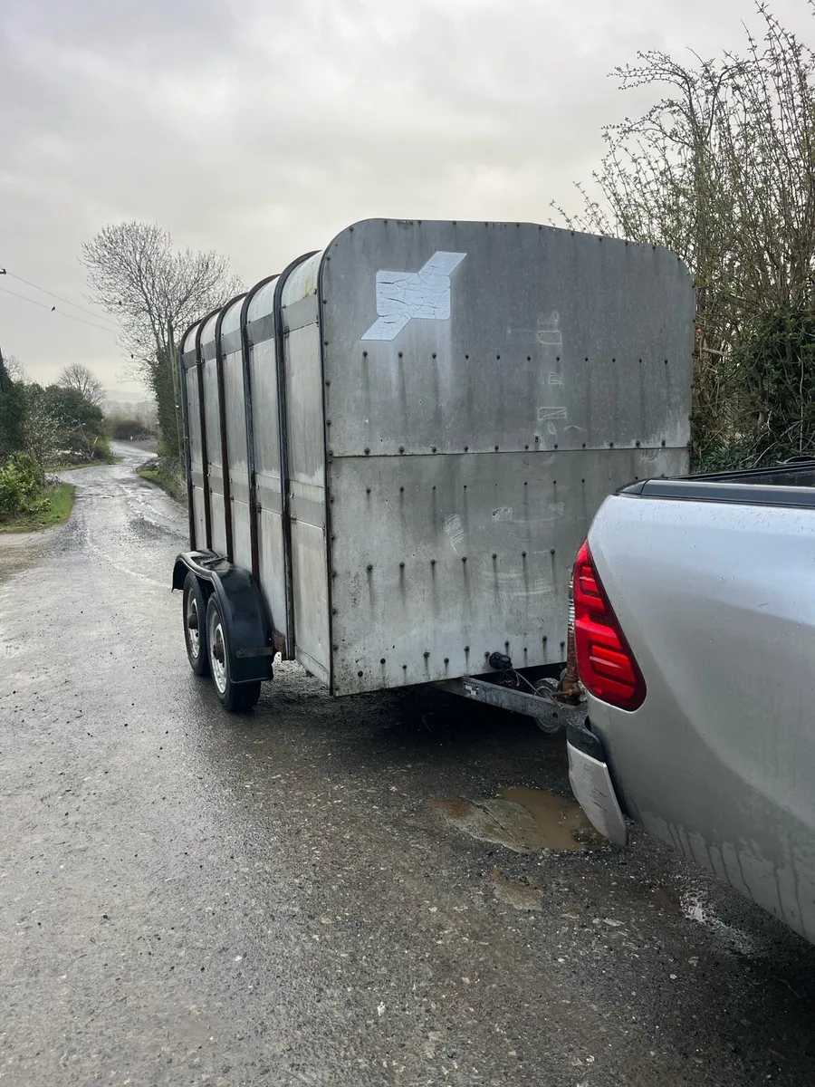 Ifor Williams Cattle trailer - Image 1