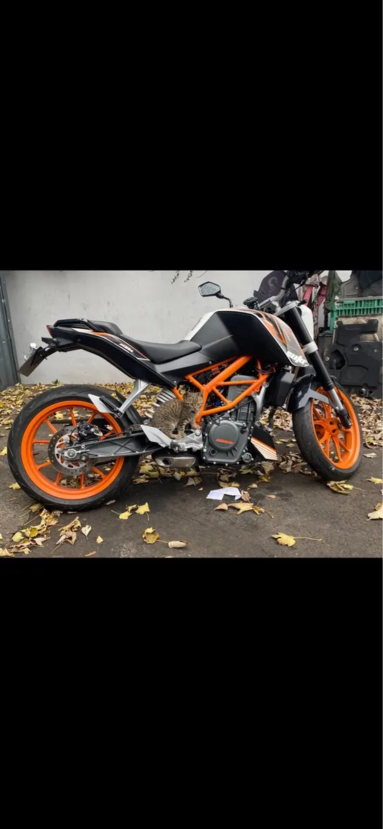 KTM duke 390 - Image 2