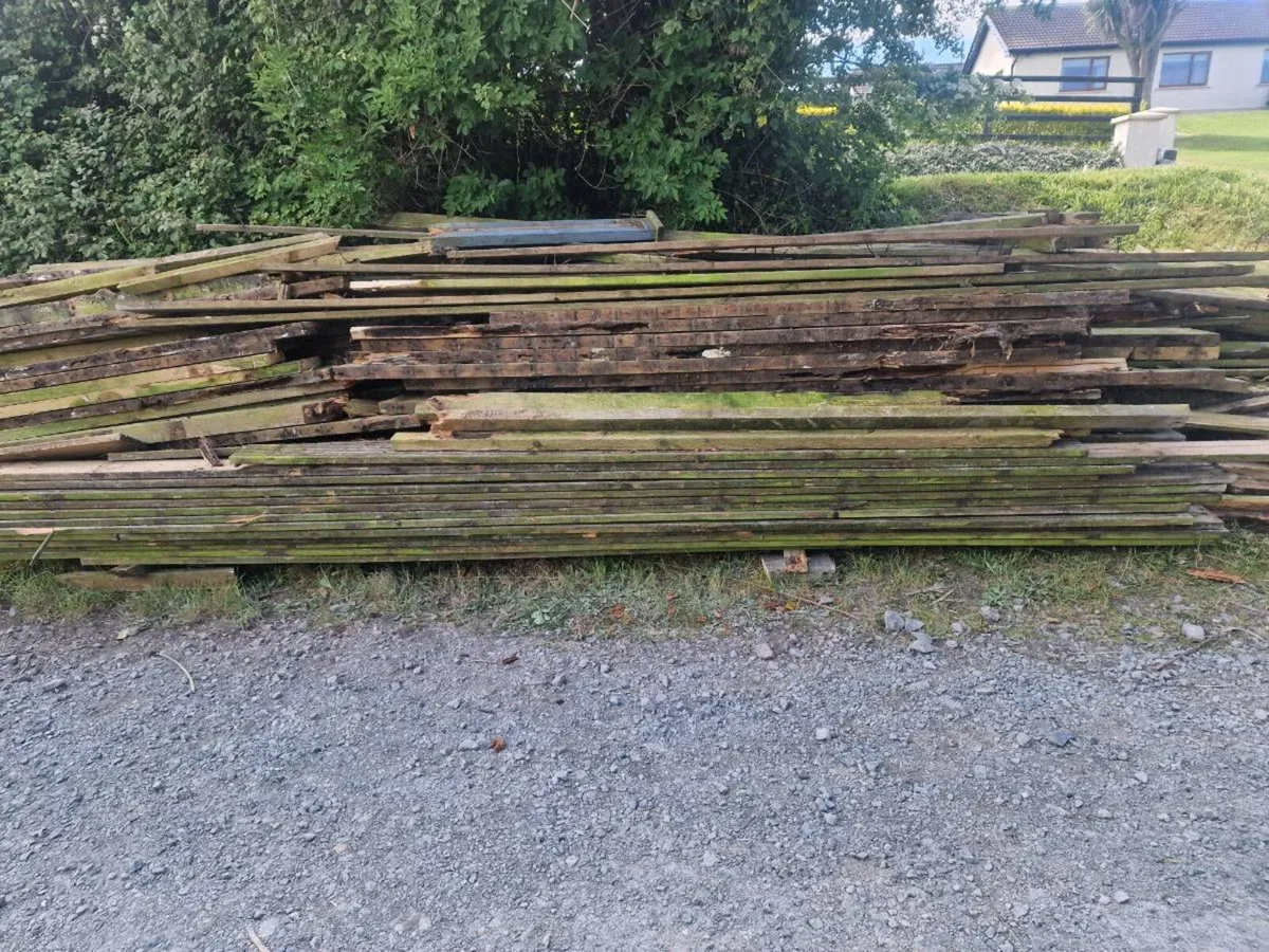 Timber for fire - Image 3