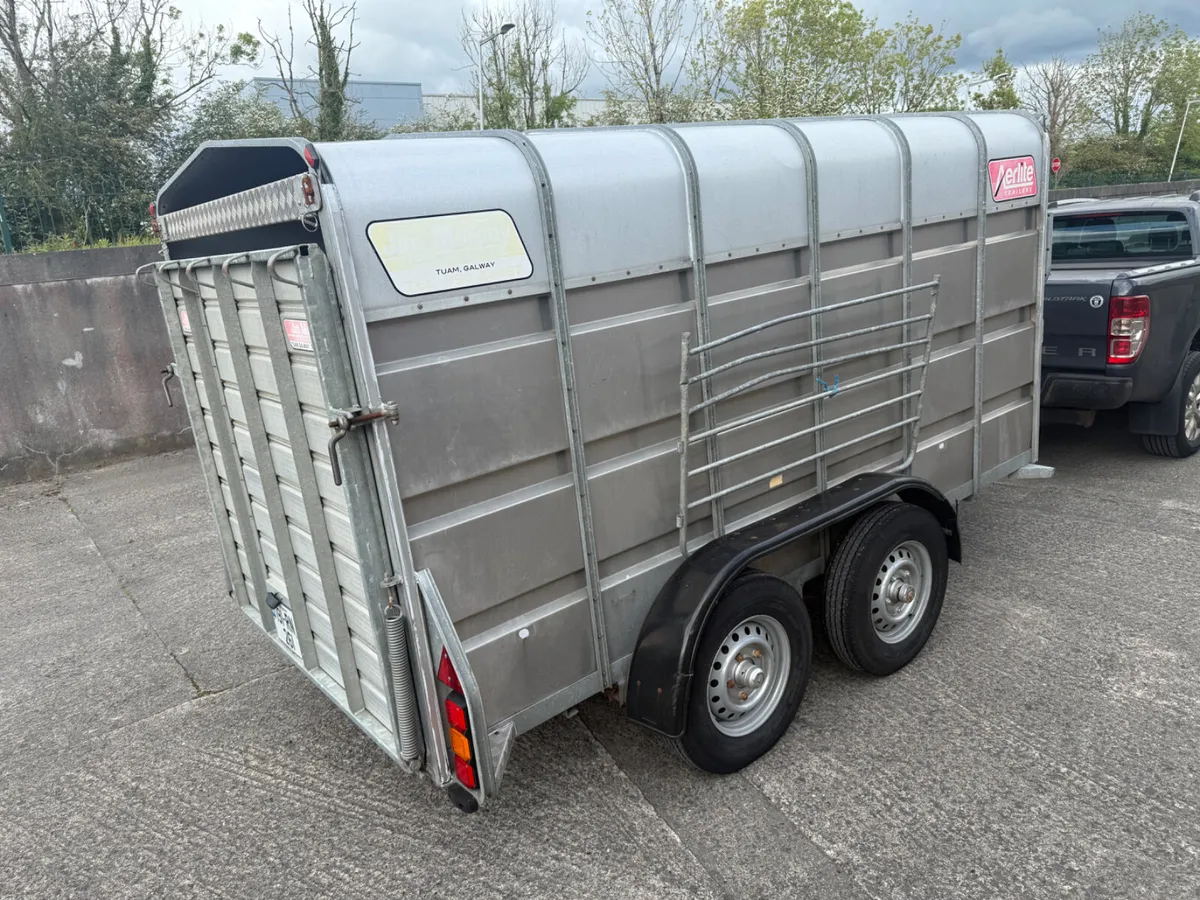 Cattle Trailer Murphy 12x6 - Image 2