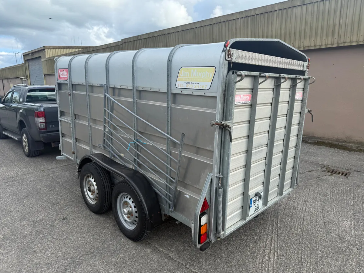 Cattle Trailer Murphy 12x6 - Image 4