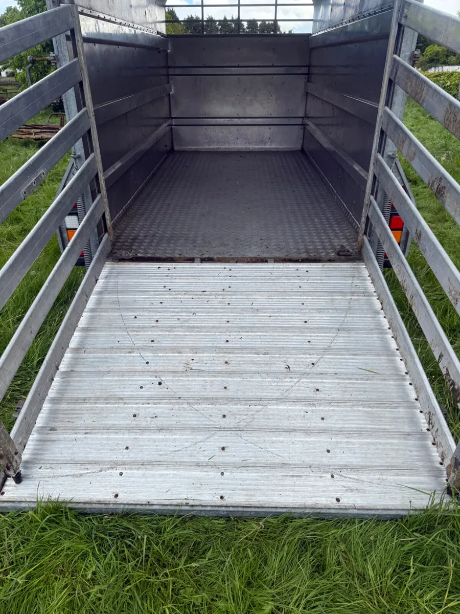 Murphy cattle Trailer  12x6 - Image 4