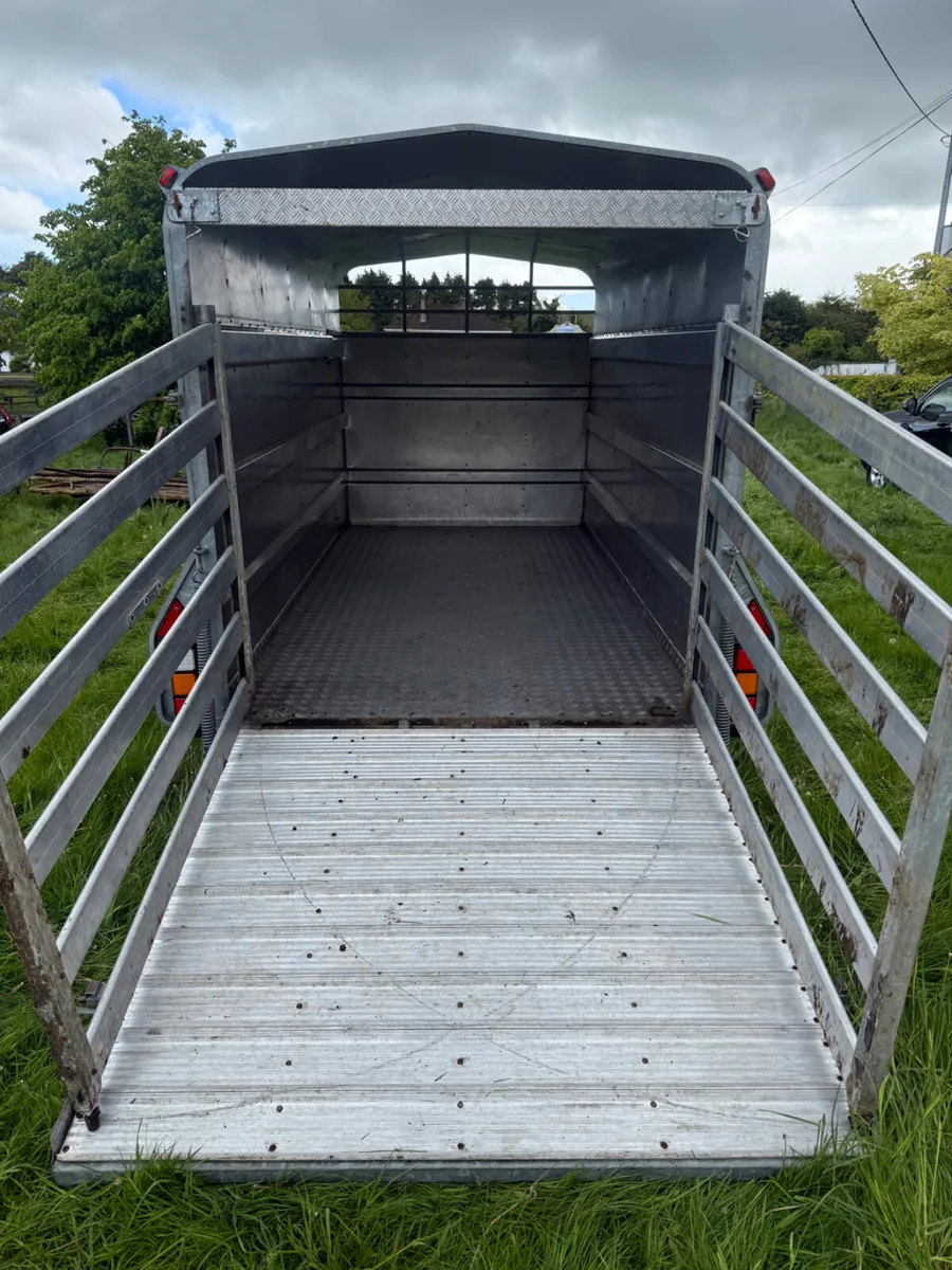 Murphy cattle Trailer  12x6 - Image 2