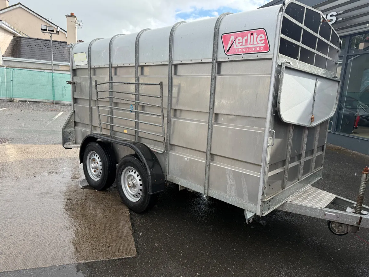 Murphy cattle Trailer  12x6 - Image 1