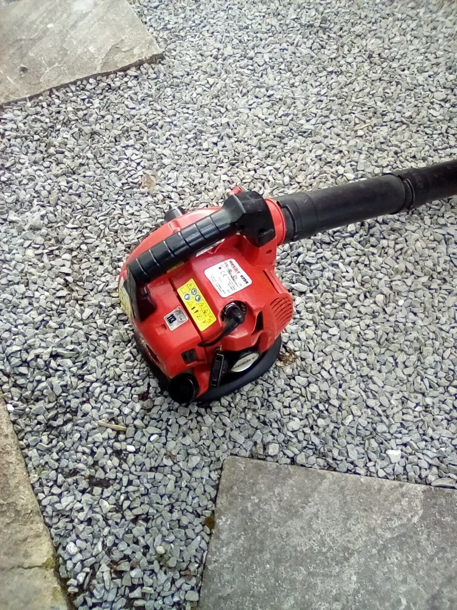 Leafblower - Image 1