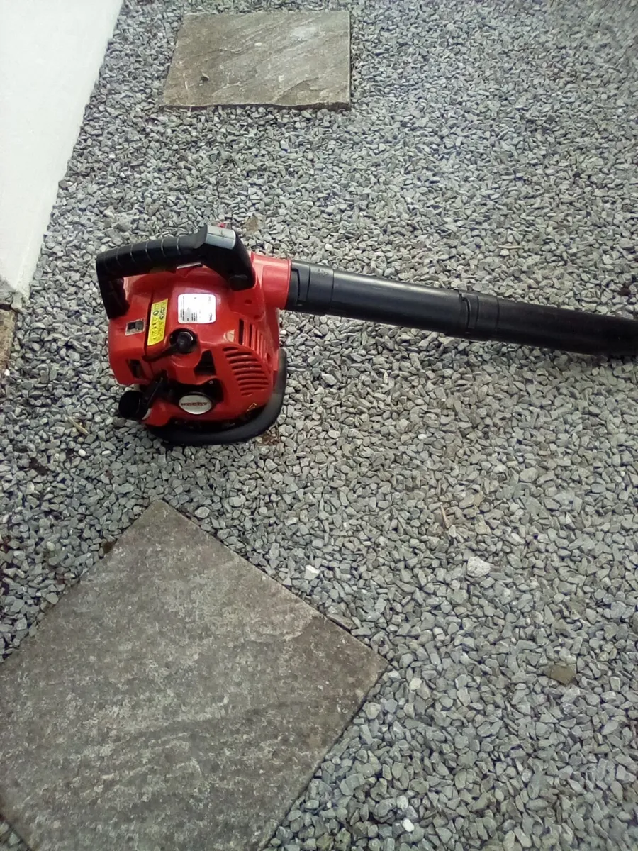 Leafblower - Image 2