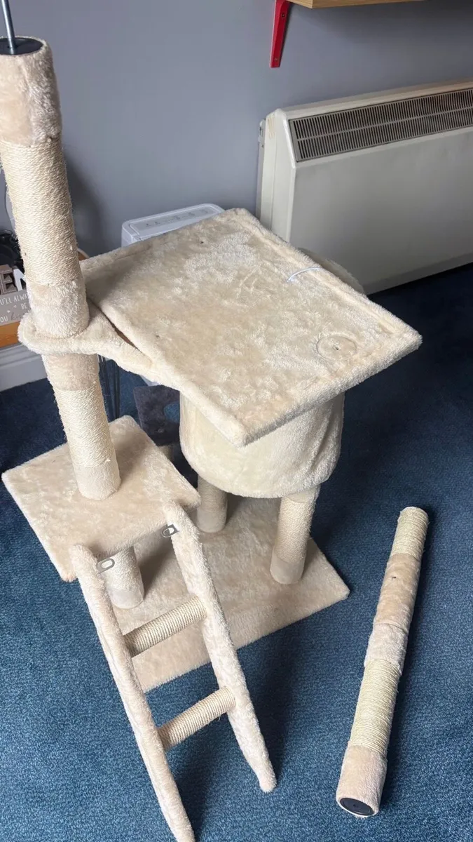 Kitten + kitten house - Image 4