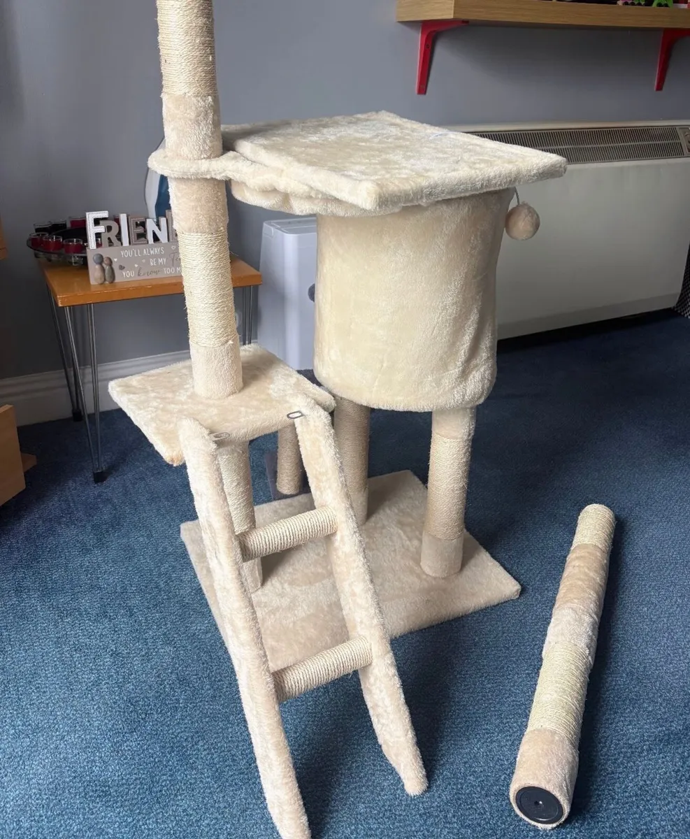 kitten house - Image 3