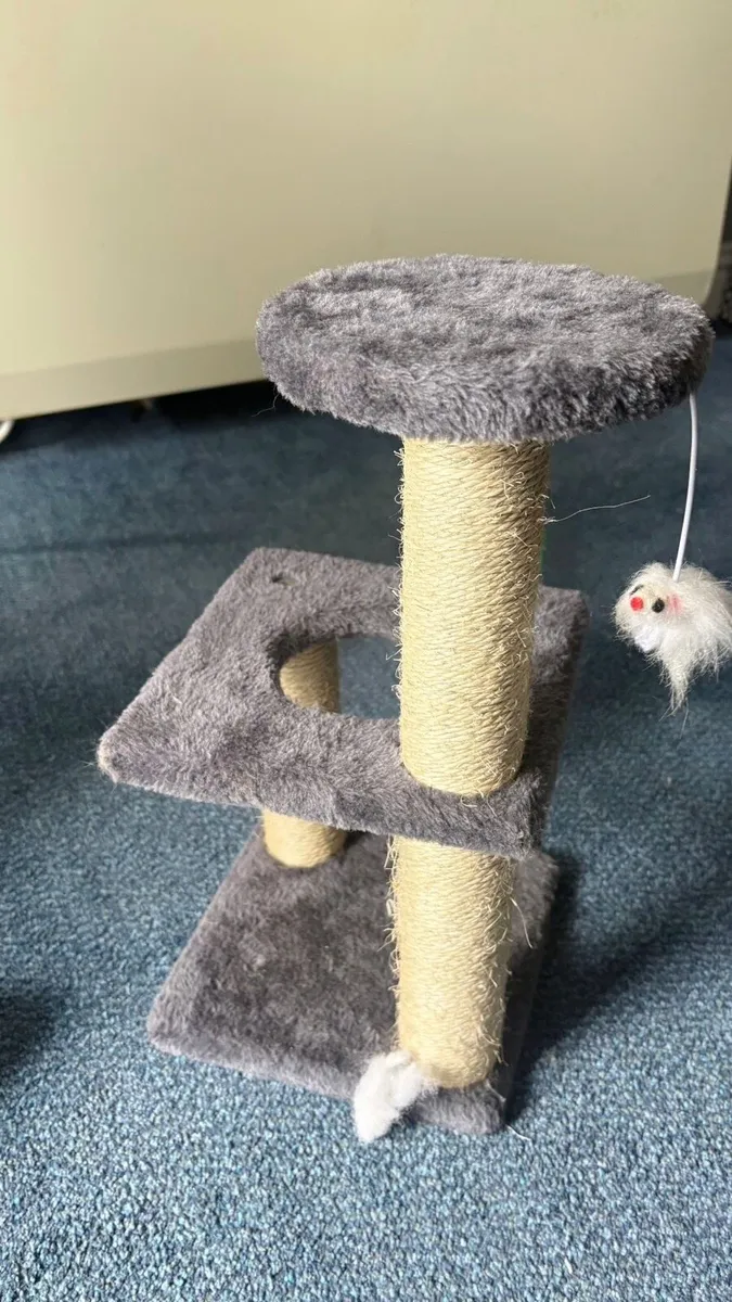 Kitten + kitten house - Image 3