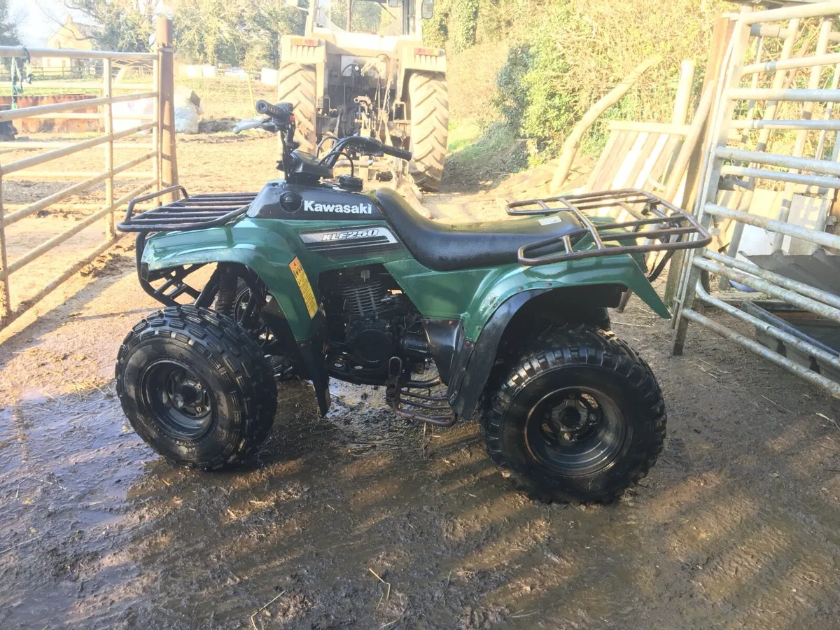 Quad non runner - Image 1