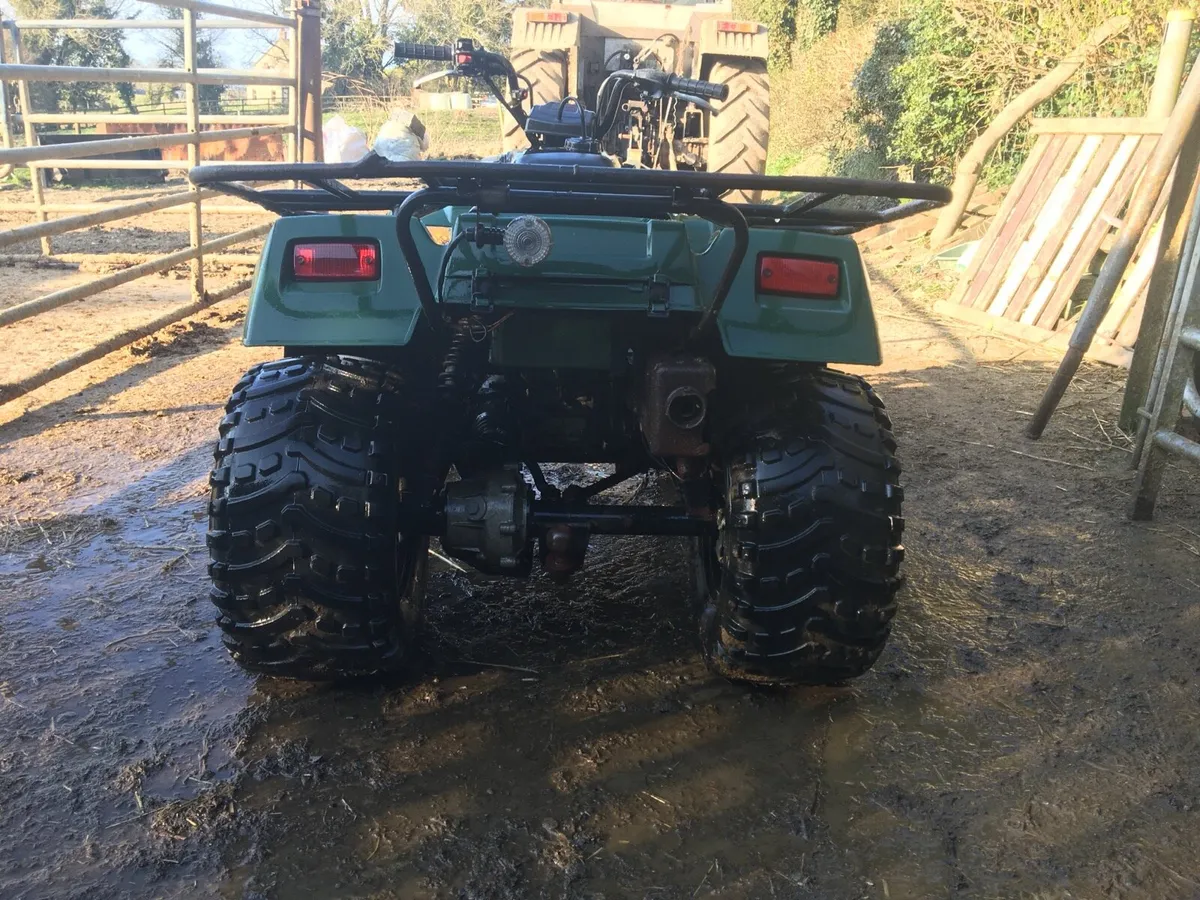 Quad non runner - Image 2