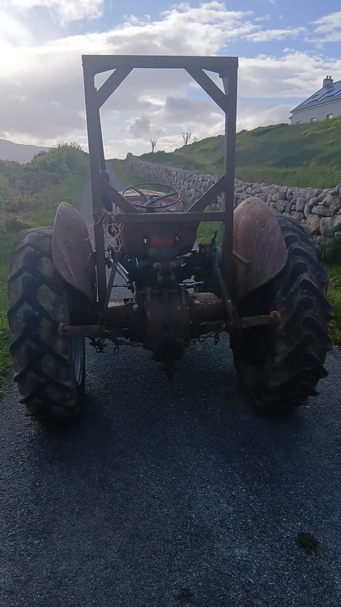Massey ferguson 135 - Image 2