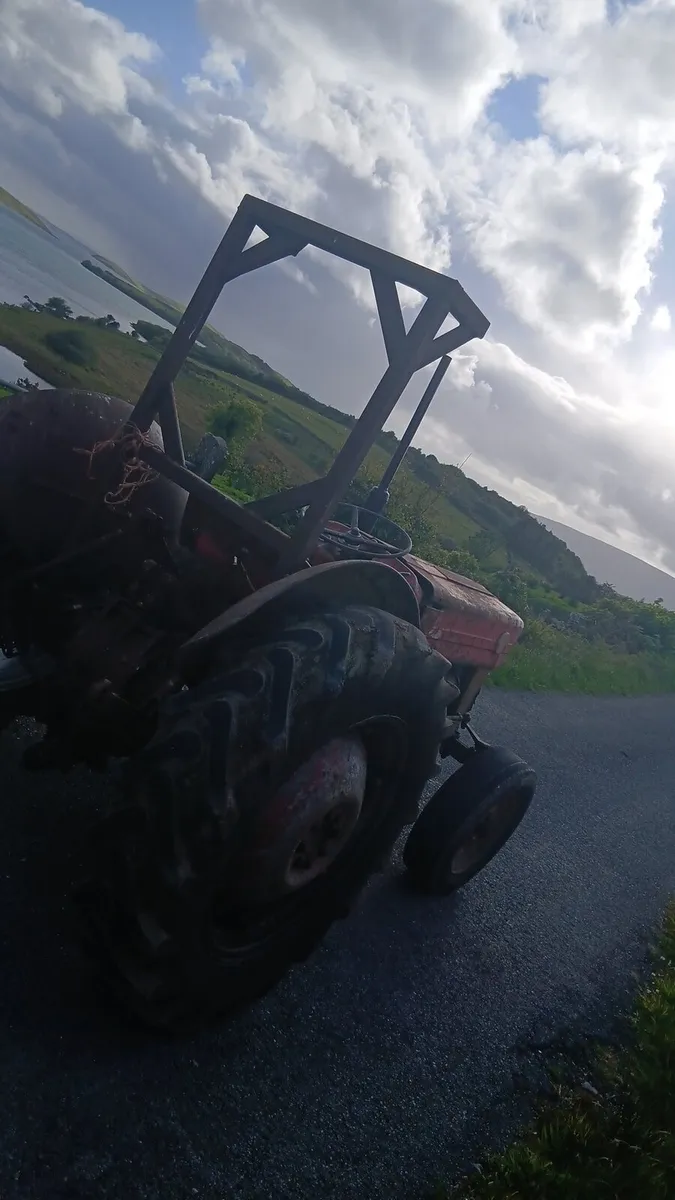 Massey ferguson 135 - Image 3