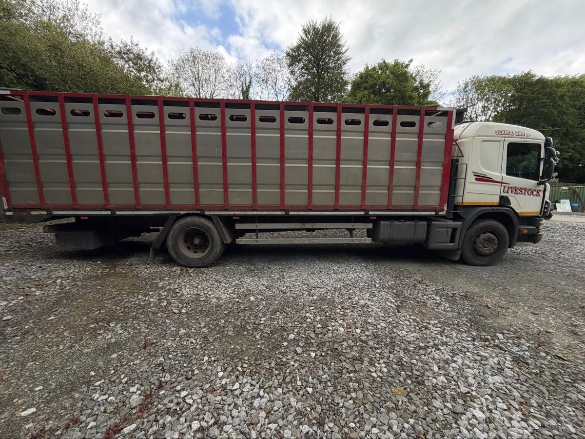 Scania Cattle Truck - Image 2