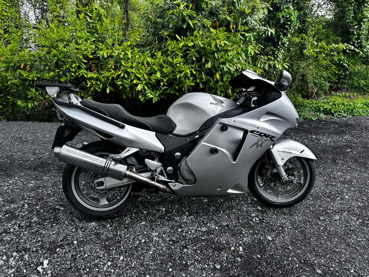 Honda Blackbird - Image 1