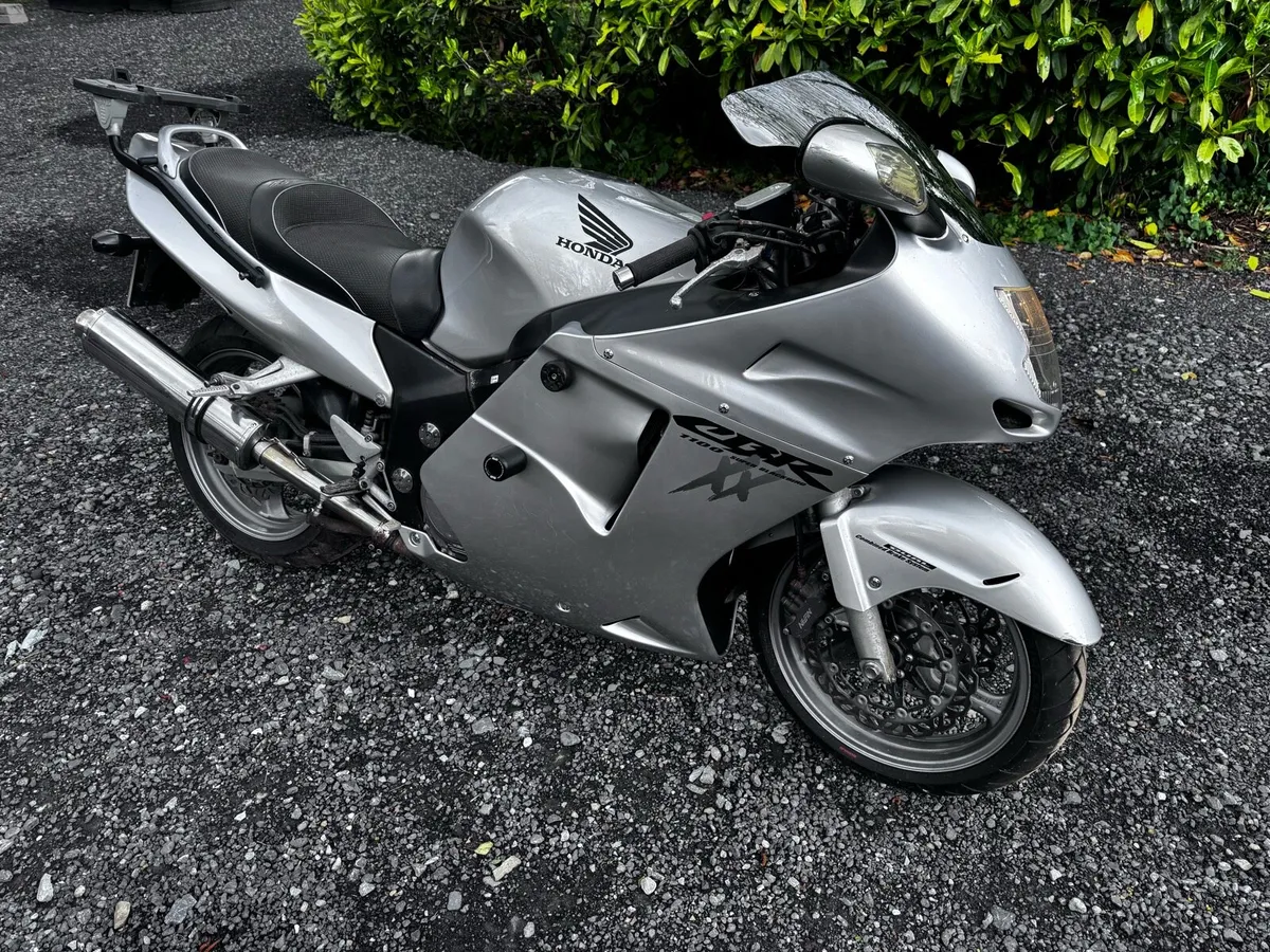 Honda Blackbird - Image 2