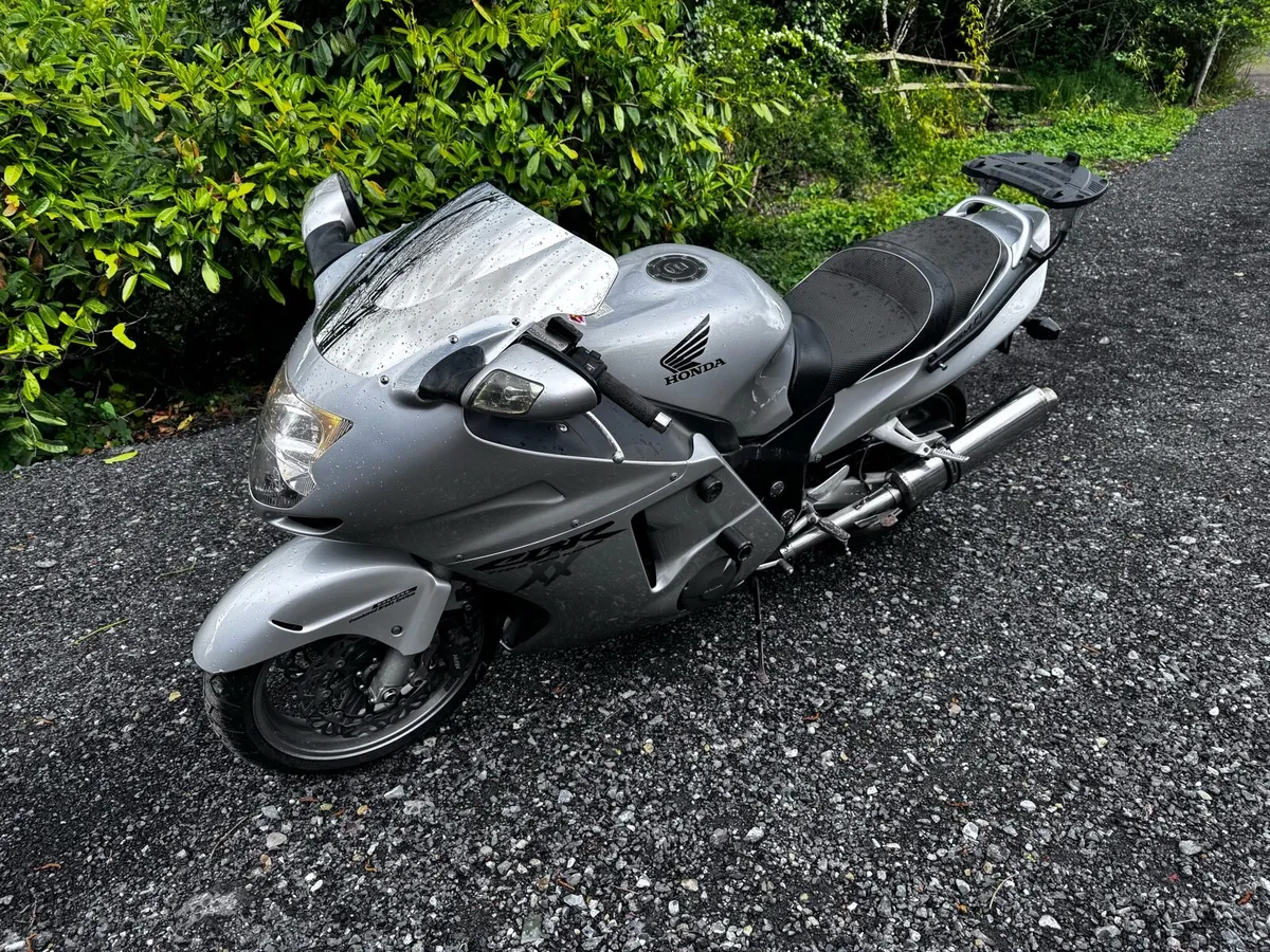 Honda Blackbird - Image 3