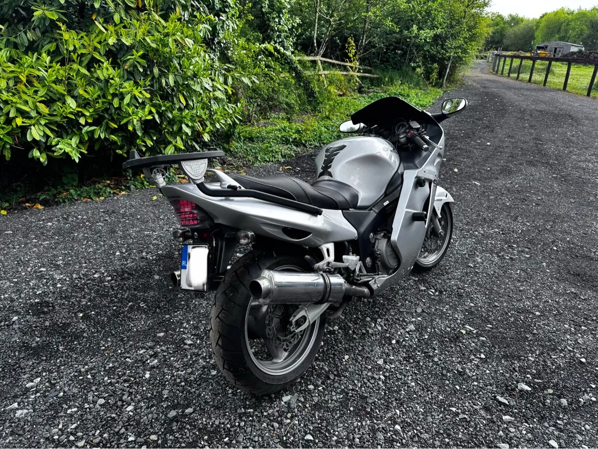 Honda Blackbird - Image 4