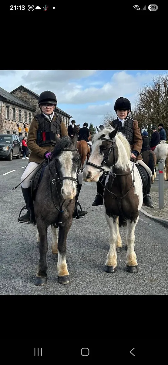Pony - Image 1
