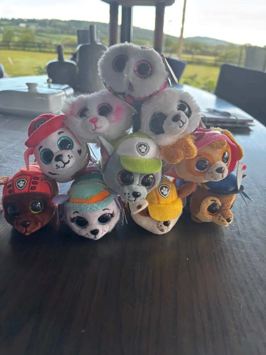 Paw Patrol Teddies - Image 1