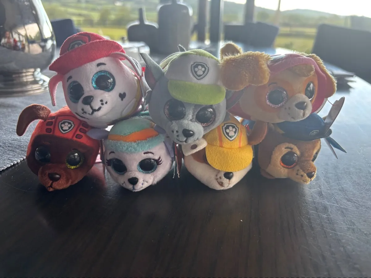 Paw Patrol Teddies - Image 2