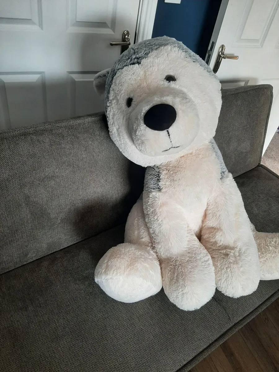 Giant teddy husky - Image 2